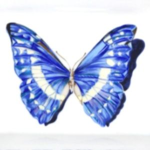 Meet your Posher, Icarus